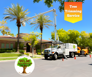 tree trimming las vegas