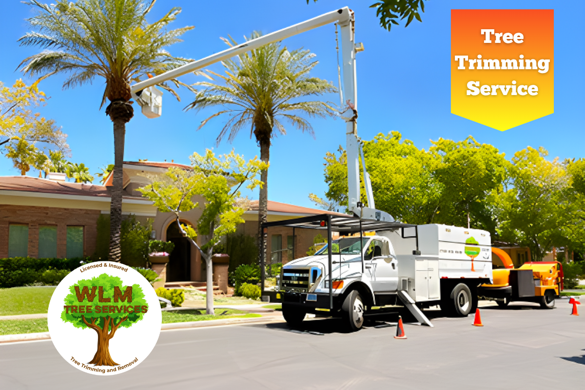 tree trimming las vegas